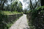 Torri del Benaco am Gardasee