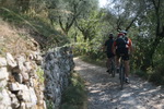 Torri del Benaco am Gardasee