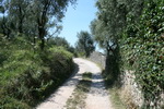 Torri del Benaco am Gardasee