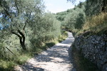 Torri del Benaco am Gardasee