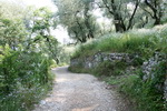 Torri del Benaco am Gardasee