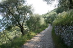 Torri del Benaco am Gardasee