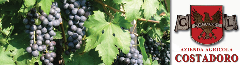 "Guter Wein w�chst im Weinberg" lautet ein alter Winzerspruch. Und in der Tat: Kein Mensch, keine Maschine und auch kein chemisches Zaubermittel kann einen Wein hervorbringen, der besser ist als die Qualit�t der geernteten Trauben. Noch vor dem Keller ist es der Boden, der den Wein produziert.