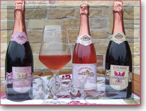 Eine Weinprobe - egal ob allein, in Begleitung oder in einer gr�sseren Gruppe - gibt Ihnen die beste Gelegenheit...