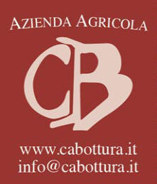 An der Stra�e zwischen Bardolino und Albar�, an einer der sch�nsten Strecken durch das Anbaugebiet des Bardolino