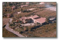 Das Weingut Costadoro der Familie Lonardi produziert Bardolino Wein von hoher Qualitt