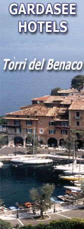 Hotel in Torri del Benaco
