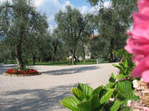 Hotel Zanetti in Pai - Torri del Benaco am Gardasee