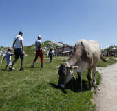 Routen und Wanderwege um den Gardasee