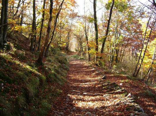 Der Monte Baldo, der parallel zum Etschtal verläuft, begrenzt das Vallagarina Tal und auf der andere Seite das Ostufer des Gardasee. Der Monte Baldo ist wirklich ein einmaliger Berg!