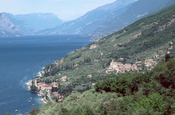 Pai von Torri del Benaco
