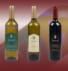Das Weingut Tenuta Villa San Zeno Familie Corradini produziert Valpolicella und Amarone Wein.