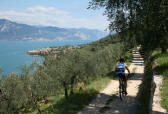 Torri del Benaco - Hotels am Gardasee
