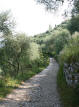 Wanderwege am Gardasee