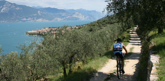 Wnadern in Torri del Benaco