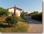 Weinkeller Raval - Wir sind weniger als 2 km von Bardolino und vom Gardasee entfernt, nach Verona sind es ungefhr 30 km.