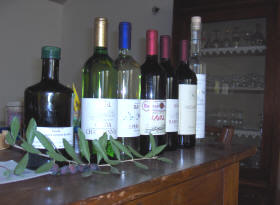 Weingut Raval in Bardolino am Gardasee Weinkeller Raval in Bardolino - Lago di Garda.
