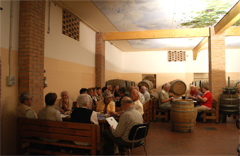 Informationen über Besichtigung und Degustation, Weinproben in Cantina Costadoro Bardolino Costadoro DOC WEinproben für Gruppen